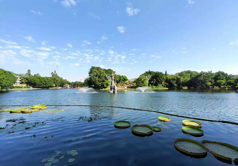 佛山禪城區(qū)石灣公園水質(zhì)提升項(xiàng)目